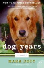 dog years